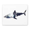 Great White in Gray, Matte Canvas, Stretched, 1.25"